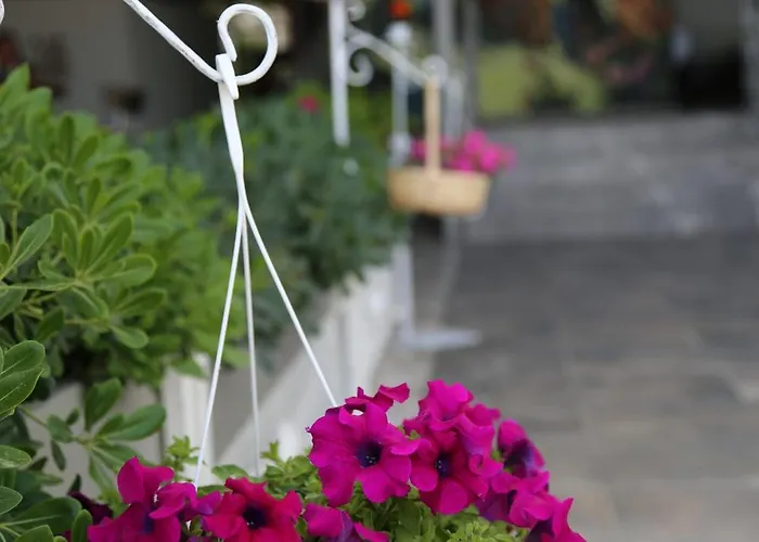 Yuzbasi Hotel Marmaris