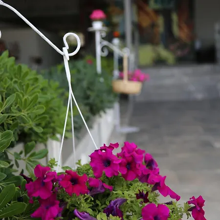 Yuzbasi Hotel Marmaris